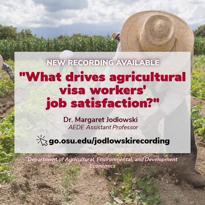 A person working in an agricultural field with a wide-brimmed hat is featured. An overlay text states: "NEW RECORDING AVAILABLE - 'What drives agricultural visa workers' job satisfaction?' Dr. Margaret Jodlowski, AEDE Assistant Professor." The website go.osu.edu/jodlowskirecording is provided. The bottom text mentions the Department of Agricultural, Environmental, and Development Economics.