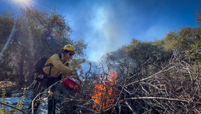 Image of a firefighter lighting a pile burn on the Cleveland National Forest.