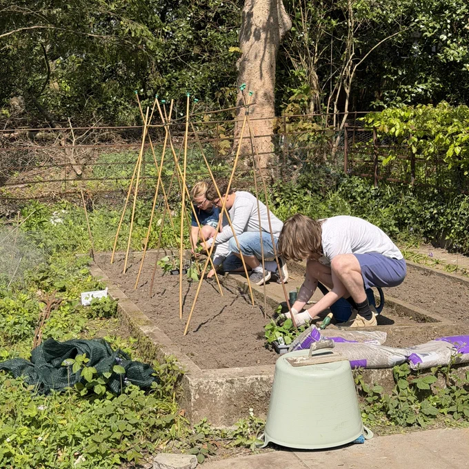 Students planting beans