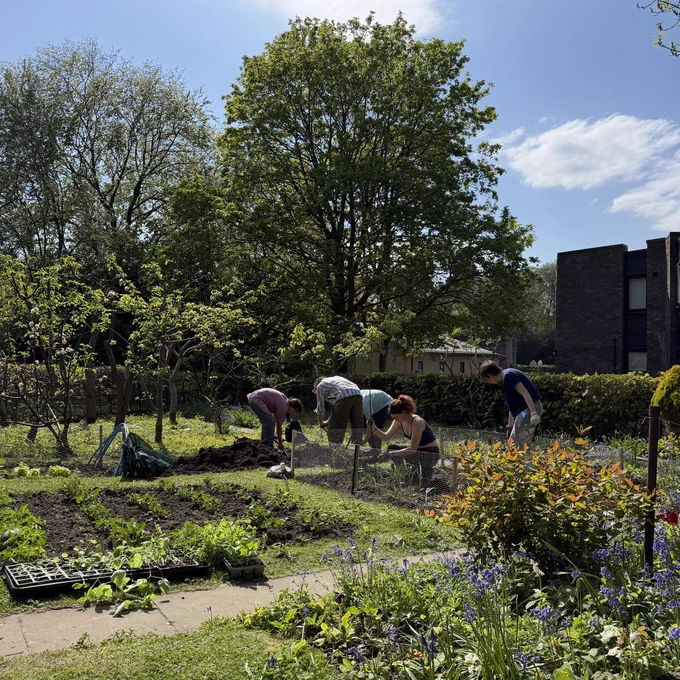 Students in the allotment