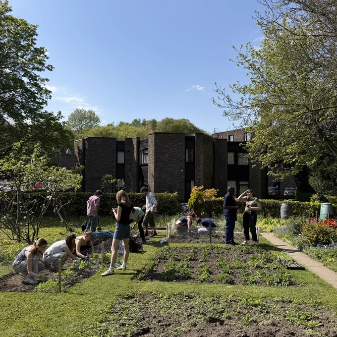 Students and SCR members in the allotment