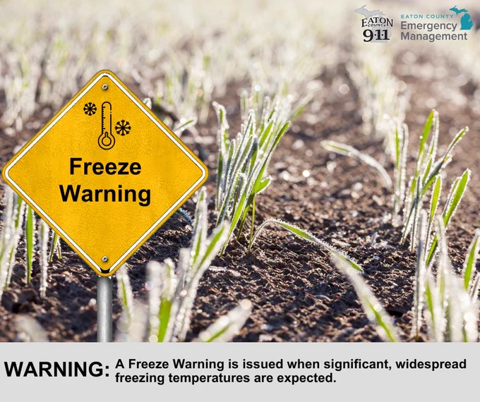 A yellow road sign reads "Freeze Warning". In the background, green crops grow in a frost-covered field under early morning light. A caption at the bottom reads "WARNING: A Freeze Warning is issued when significant, widespread freezing temperatures are expected."
