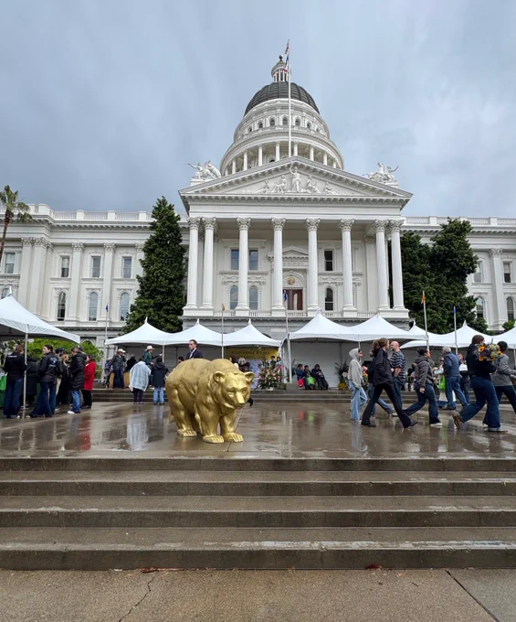 The image shows the California State Capitol building with a large dome and columns. In front, a gold bear statue is positioned on wet steps. People are walking around the area, and white tents are visible. The sky appears cloudy.