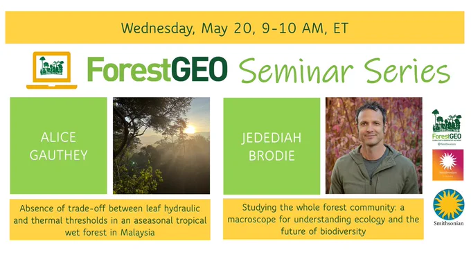 ForestGEO's May Virtual Seminar Series is taking place on Wednesday, May 20 at 9am ET. The speakers are Alice Gauthey (talk title: "Absence of trade-off between leaf hydraulic and thermal thresholds in an aseasonal tropical wet forest in Malaysia") and Jedediah Brodie (talk title: "Studying the whole forest community: a macroscope for understanding ecology and the future of biodiversity")
