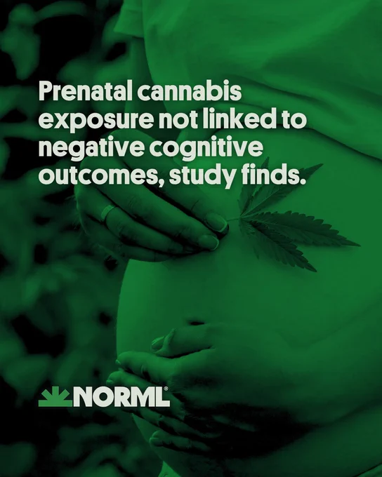 Headline reads, "Prenatal cannabis exposure is not associated with negative cognitive outcomes, study finds." Background image shows a pregnant person holding a cannabis leaf over their exposed abdomen.