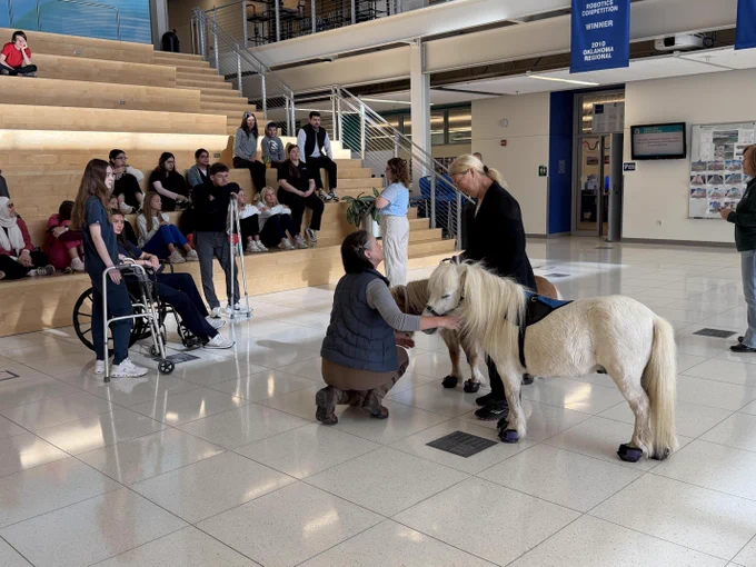 The image shows a group of people, including a person in a wheelchair, interacting with a white miniature horse in the atrium of BVSD CAPS. The floor is tiled and there is signage visible on the wall.