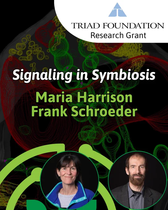 Promotional graphic for a Triad Foundation Research Grant titled “Signaling in Symbiosis.” The background features abstract, colorful microscopy-like patterns in red, green, and yellow on black. The names Maria Harrison and Frank Schroeder appear prominently in green text. At the bottom are two circular headshots: a woman with dark hair wearing a blue jacket and a man with a beard wearing a suit.
