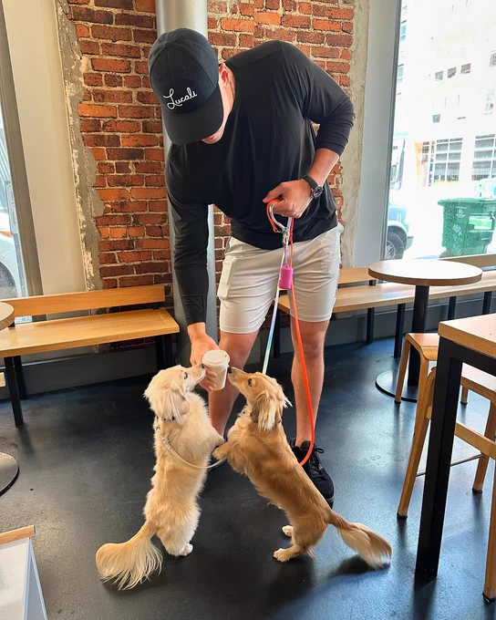 Aaron Judge with his dogs Penny and Gus. 