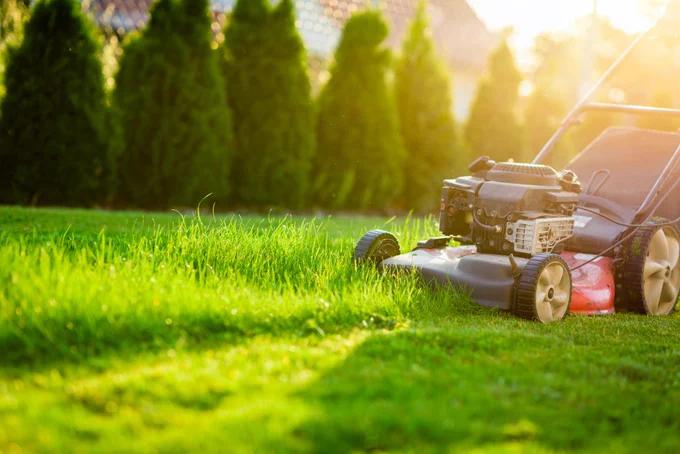 A lawn mower sits on a freshly cut grassy lawn with sunlight filtering through trees in the background. The scene suggests a serene and well‑maintained garden setting.