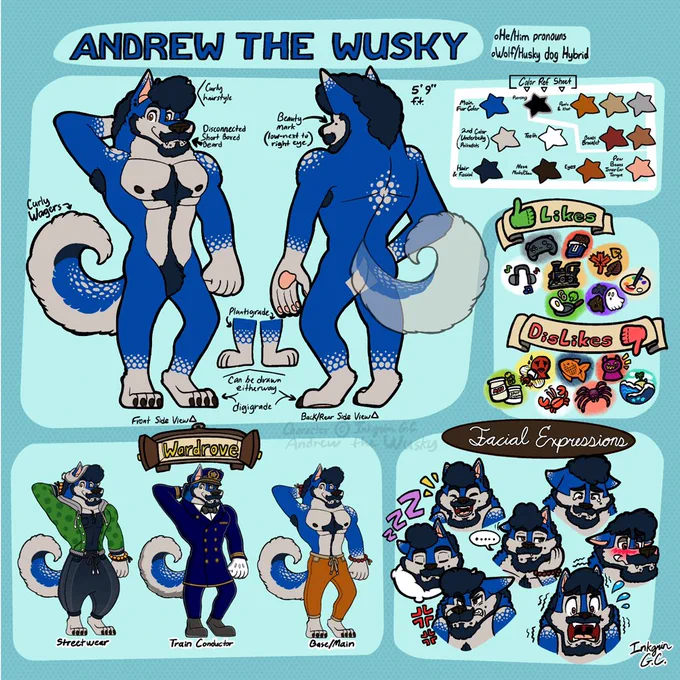 Reference sheet of a male wolf/husky hybrid fursona named "Andrew the Wusky", with blue fur and dark indigo blue curly hair. He has brown eyes, a small beauty mark under his right eye,  a disconnect short boxed beard, and lighter underbelly with a subtle body hair trail. His design includes polka-dot-like gradient on both ears, shoulders, back and extremities. He has a pair of 2 dot-like earrings on each ears and 2 pair of snake bite piercings on his lower part of his lips. He was a fluffy curled-up tail with both polka-dots, with indigo blue on the tail’s tip. He also has light peach-colored paw pads/beans and dark brown claw-like nails. The ref sheet shows multiple facial expressions (happy, sad, bored, sleep, angry, flustered, surprised) and outfit options including: loungewear pants with bead bracelets, streetwear, and a train conductor uniform, and with both platigrade and digigrade versions.
