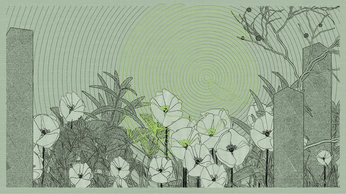 Credit: Zancan, Charcoal Seeds #49, 2023. Courtesy of the artist