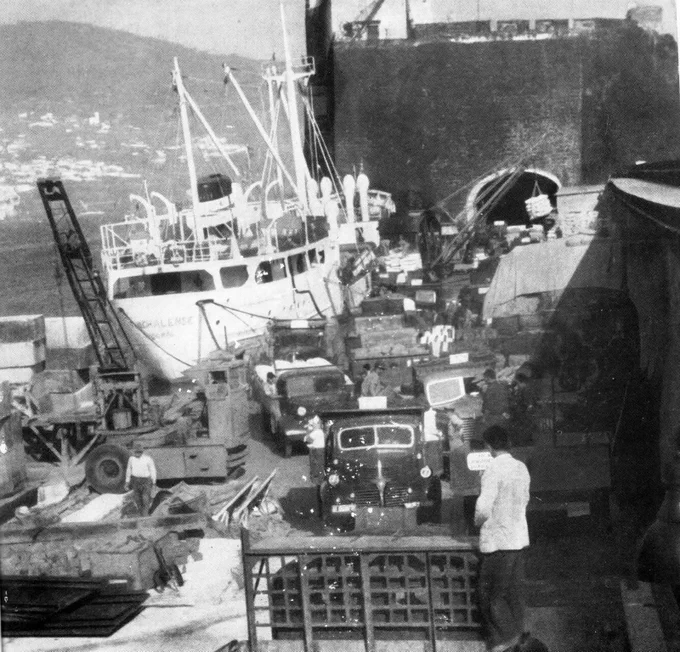 A day of intense activity at Pontinha Harbour, Madeira.

In an era when the work of a stevedore (longshoreman) was incredibly tough and physically demanding, the port buzzed with energy as cargo was loaded and unloaded by hand. 

The ship in the foreground is the Motor Vessel Funchalense, a fruit carrier and one of the vessels from "Despacho 100".

Year 1956

Photo: Author unknown / Uncredited.

#MadeiraQuaseEsquecida #Madeira #Funchal #PortHistory #MaritimeHeritage #VintageMadeira #1950s #HistoricalPhotography