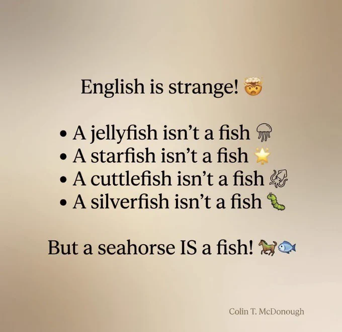 An image with a soft, warm gradient background and centered black text that reads: "English is strange!" followed by an exploding head emoji. Below this is a bulleted list:

• A jellyfish isn’t a fish (jellyfish emoji)

• A starfish isn’t a fish (star emoji)

• A cuttlefish isn’t a fish (squid emoji)

• A silverfish isn’t a fish (caterpillar emoji)

At the bottom, a larger line of text reads: "But a seahorse IS a fish!" followed by a horse emoji and a fish emoji. The name "Colin T. McDonough" is written in small, elegant type in the bottom right corner.
