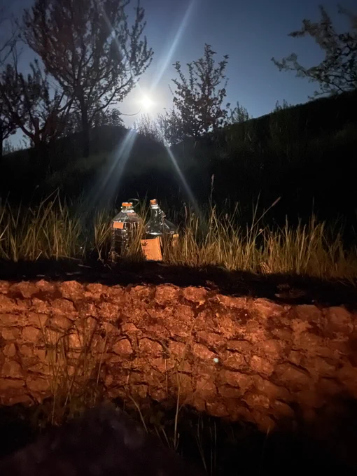 2 bottles on a stone wall under a moon