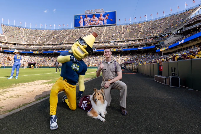 A stadium field with a yellow and blue banana mascot posing alongside a person in a uniform and Texas A&M mascot, Reveille. The stadium is filled with spectators.