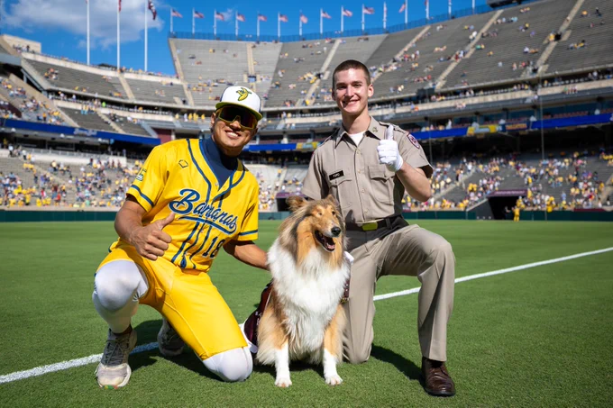 A person in a yellow Savannah Bananas baseball uniform and another in a uniform are kneeling on a baseball field beside Texas A&M mascot, Reveille, dressed in maroon, against the backdrop of a stadium with spectators.