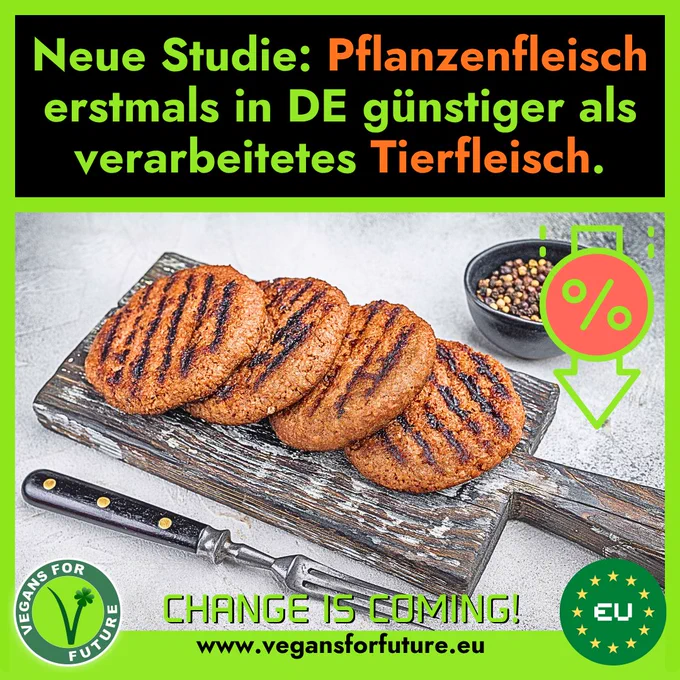 Text: "Neue Studie: Pflanzenfleisch erstmals in DE günstiger als verarbeitetes Tierfleisch."

Auf dem Bild sieht man 4 gebratene, vegane Burgerpatties.