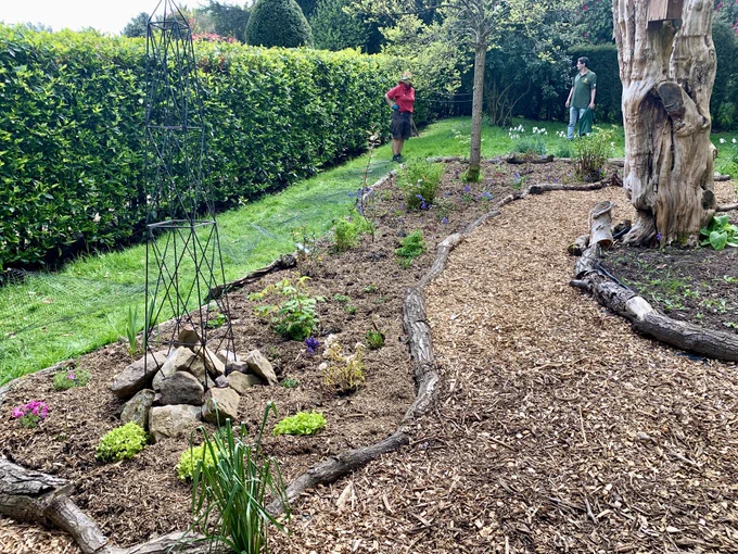 Image depicts a flower bed with a metal obelisk and stones, freshly planted up with various plants.