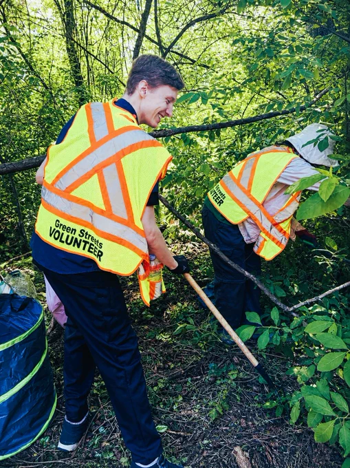 A man in a yellow and orange safety vest, clearing invasive plants using a rake