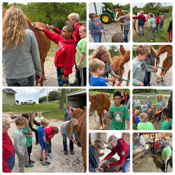 horse trip