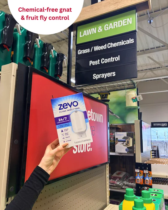 It's fruit fly season. Stop swatting and grab this product.