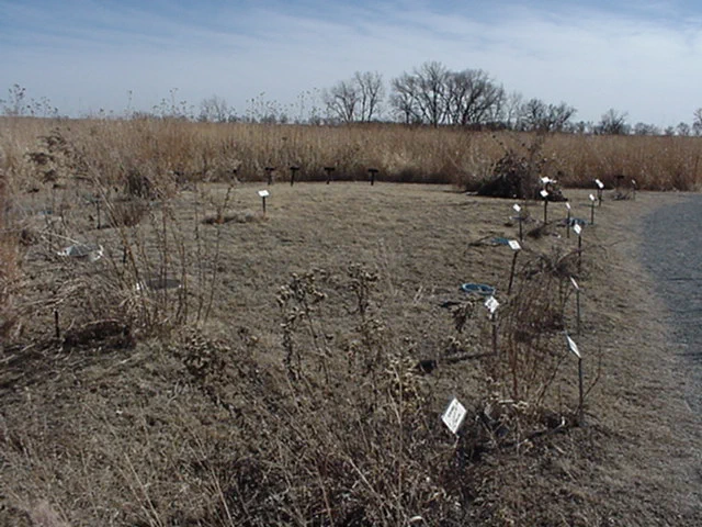 The Native Plant Display at Homestead National Historical Park.