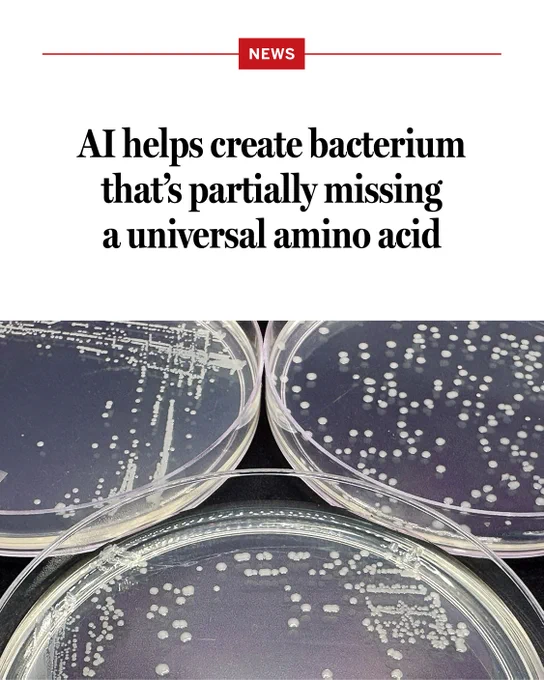 AI helps create bacterium that’s partially missing a universal amino acid