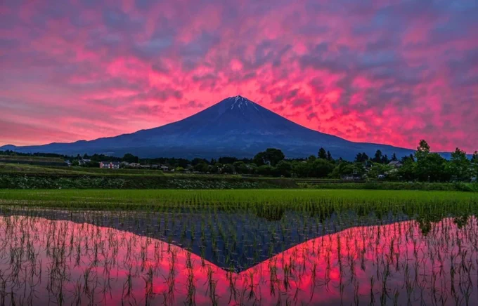 A sunset over a volcanic mountain with a paddy field in front