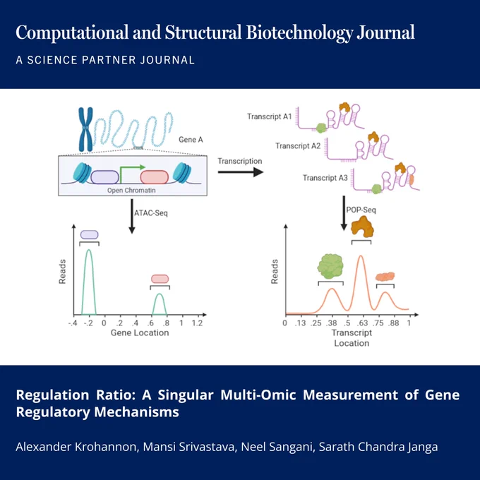 🔗 Regulation Ratio: A Singular Multi-Omic Measurement of Gene Regulatory Mechanisms. Computational and Structural Biotechnology Journal (CSBJ). DOI: https://doi.org/10.34133/csbj.0044

📚 CSBJ - A Science Partner Journal: https://spj.science.org/journal/csbj
