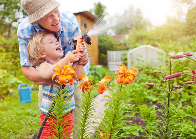Adult and child watering orange lilies together in a lush garden on a sunny day.