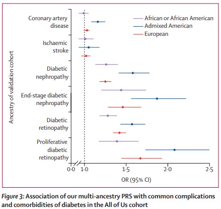 ORs per SD increase for six outcomes in African or African American, Admixed American, and European cohorts: coronary artery disease, ischaemic stroke, diabetic nephropathy, end-stage diabetic nephropathy, diabetic retinopathy, and proliferative diabetic retinopathy. All analyses were restricted to individuals with type 2 diabetes. Error bars indicate 95% CIs. All models were adjusted for sex, age, and genetic principal components. OR=odds ratio. PRS=polygenic risk score.