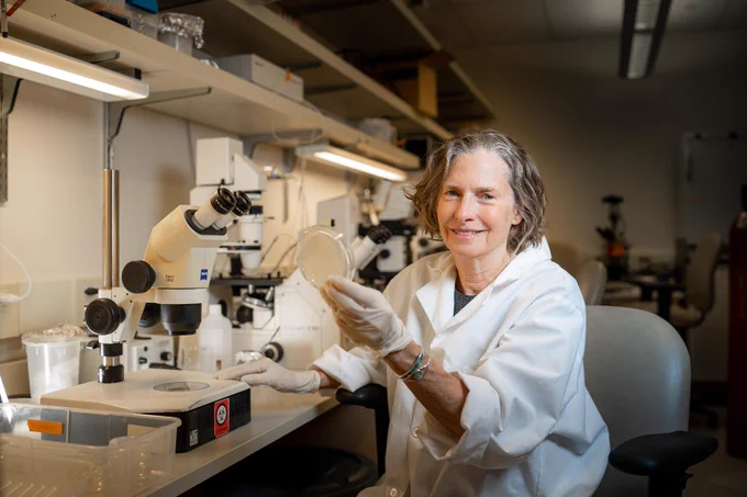Brenda Bass in a lab coat holds a petri dish while seated at a laboratory bench with microscopes and various scientific equipment. The person is smiling and appears engaged in a research activity photoshoot. 