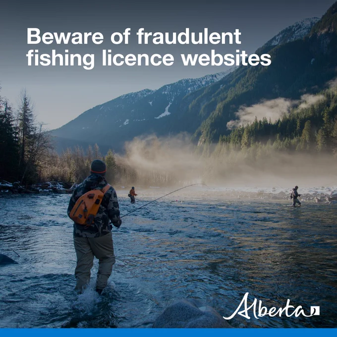 image depicts three anglers in waders knee-deep in a foggy mountain lake. Text reads Beware of fraudulent fishing licence websites with the white Alberta logo in the bottom right corner.