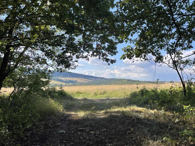 nearby the house nature 
