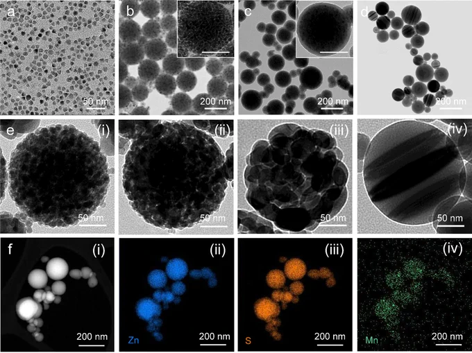 Introducing “Size and Structural Control of Mechanoluminescent ZnS:Mn2  Nanocrystals for Optogenetic Neuromodulation”, co-authored by Prof. Yadong Yin, Deputy Editor of ACS Nanoscience Au.  

This study provides a scalable method for producing efficient mechanoluminescent nanoparticles and demonstrates the critical influence of particle size and defect structures on their light emission behavior under mechanical stress. These insights open pathways for real-world applications such as high-resolution stress and damage sensors in infrastructure, self-reporting materials for aerospace and automotive components, touch responsive or pressure mapping devices, and advanced bioimaging tools that activate without external light sources. 

Explore the article published in ACS Nano.