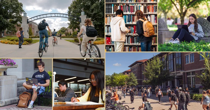 photos of students studying or walking on campus