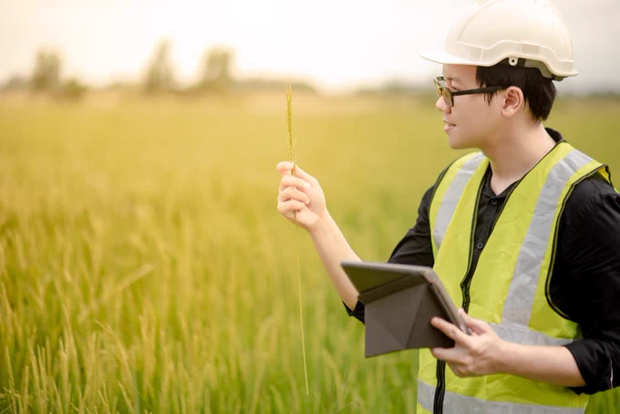A natural resources scientist reviews plant species in a sunny field