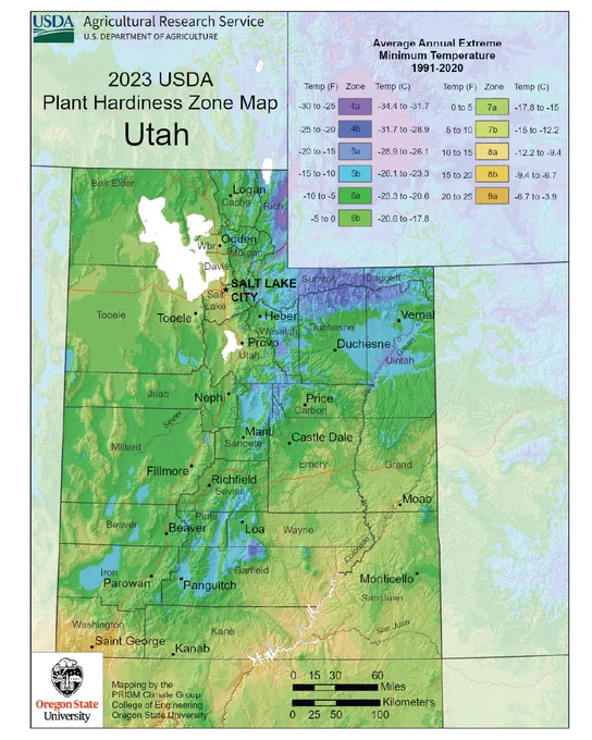 This is an official 2023 USDA Plant Hardiness Zone Map for Utah, created by the Oregon State University PRISM Climate Group. The map displays Utah's climate diversity using color-coded regions that correspond to specific plant hardiness zones. A legend in the upper right-hand corner details that these zones (4a through 9a) are defined by the "Average Annual Extreme Minimum Temperature" based on data from 1991 to 2020, with temperatures listed in both Fahrenheit and Celsius.
The map shows zones 4a (the coldest, in dark purple) concentrated in the high-elevation areas of northern and central Utah. The majority of the state, including key areas like Salt Lake City and Provo, falls within zones 6b to 7b (green tones). The warmest zones, such as 8b and 9a (orange and gold tones), are found in the southwestern corner of the state near Saint George. Major county boundaries, cities, and major roads are overlaid to help users identify their specific location and zone. A scale bar at the bottom 