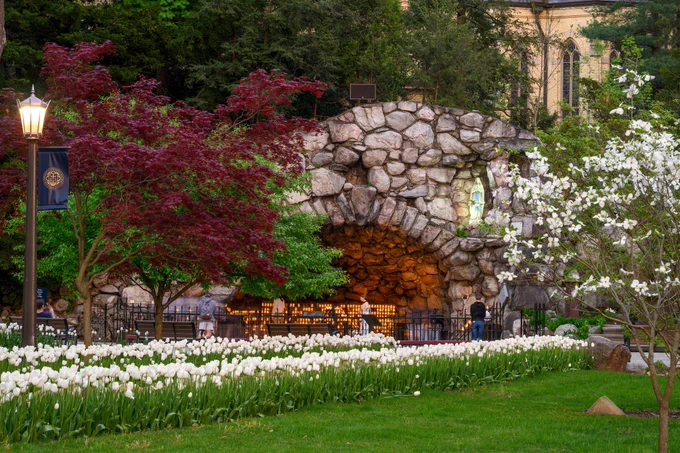 A rocky grotto nestled within a garden, surrounded by vibrant red and white flowering trees and a neatly arranged bed of white tulips in the foreground.
