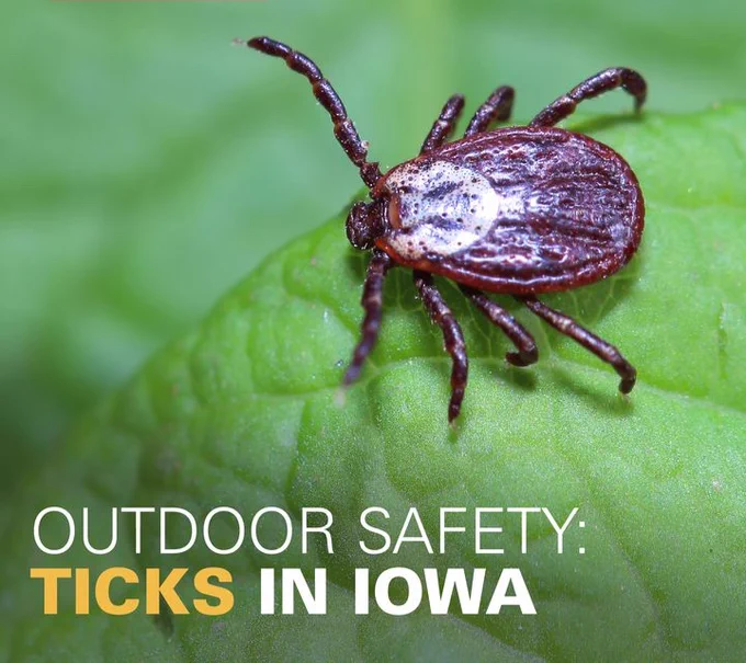 Promotion image for Iowa State University Extension and Outreach's "Ticks and Tick-borne Diseases in Iowa" resource.