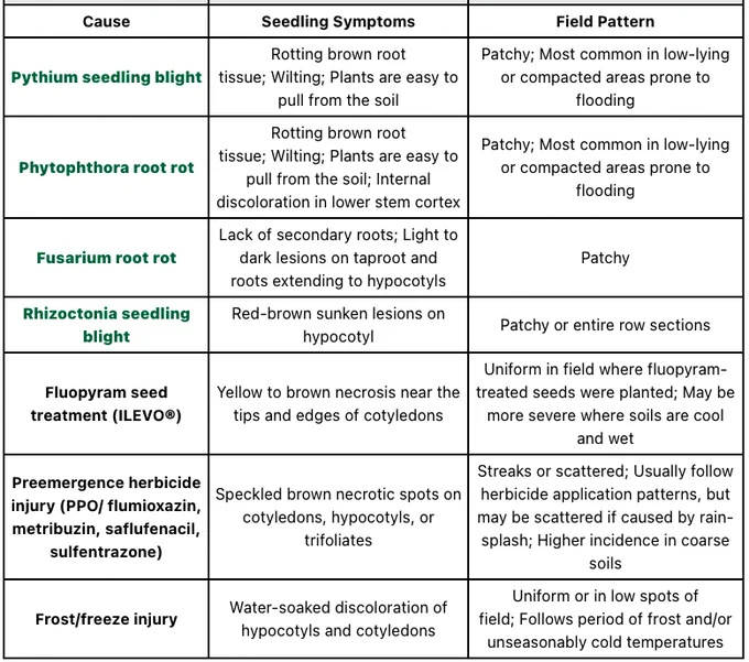 Table showing the seedling symptoms and field patterns of various soybean seedling diseases. 