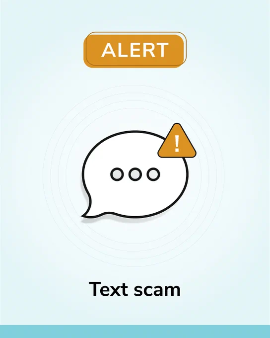 ALERT text scam