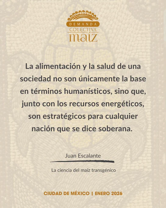 Hay ámbitos de la vida social y económica en los cuales la racionalidad del mercado se enfrenta a límites infranqueables. La alimentación y la salud de una sociedad no son únicamente la base en términos humanísticos, sino que junto con los recursos energéticos, son estratégicos para cualquier nación que se dice soberana. 