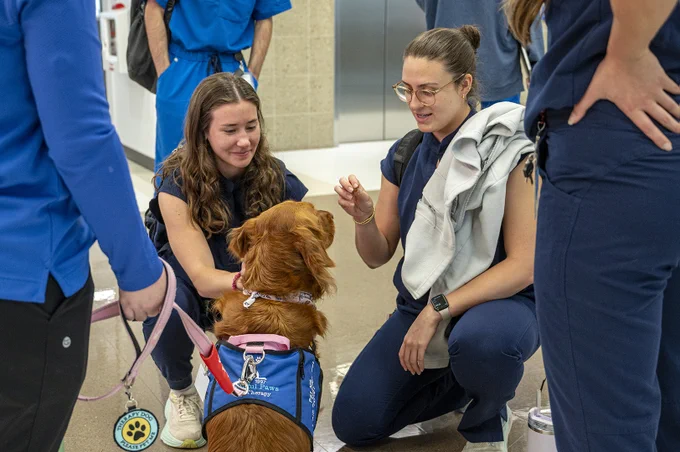 Two women in blue scrubs kneel and smile as they interact with a brown dog wearing a blue therapy vest and a pink leash. Others wearing blue are standing around them, with elevator doors visible in the background.