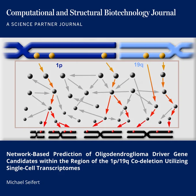 🔗 Network-Based Prediction of Oligodendroglioma Driver Gene Candidates within the Region of the 1p/19q Co-deletion Utilizing Single-Cell Transcriptomes. Computational and Structural Biotechnology Journal (CSBJ). DOI: https://doi.org/10.34133/csbj.0059

📚 CSBJ - A Science Partner Journal: https://spj.science.org/journal/csbj