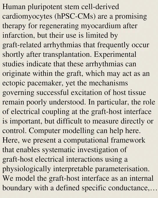 Human pluripotent stem cell-derived cardiomyocytes (hPSC-CMs) are a promising therapy for regenerating myocardium after infarction, but their use is limited by graft-related arrhythmias that frequently occur shortly after transplantation. Experimental studies indicate that these arrhythmias can originate within the graft, which may act as an ectopic pacemaker, yet the mechanisms governing successful excitation of host tissue remain poorly understood. In particular, the role of electrical coupling at the graft-host interface is important, but difficult to measure directly or control. Computer modelling can help here. Here, we present a computational framework that enables systematic investigation of graft-host electrical interactions using a physiologically interpretable parameterisation. We model the graft-host interface as an internal boundary with a defined specific conductance, allowing direct control over coupling strength in units that correspond to measurable tissue properties. W