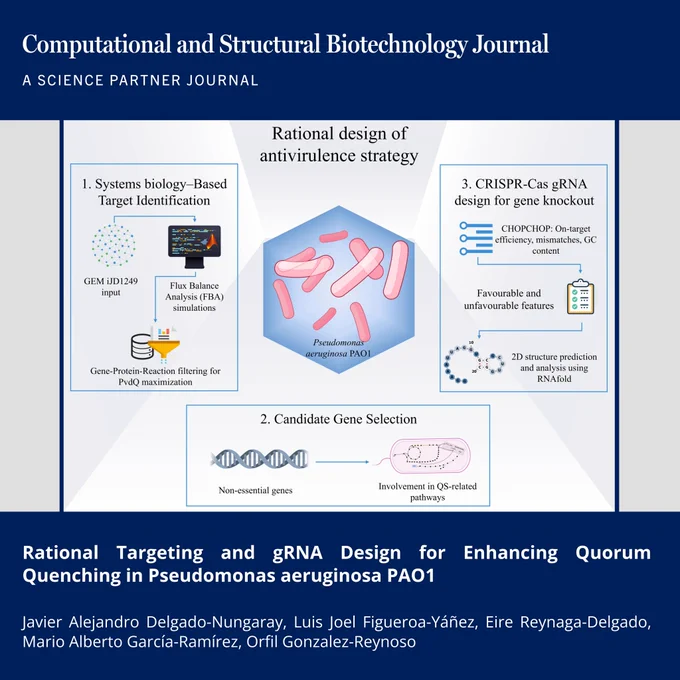 🔗 Rational Targeting and gRNA Design for Enhancing Quorum Quenching in Pseudomonas aeruginosa PAO1. Computational and Structural Biotechnology Journal (CSBJ). DOI: https://doi.org/10.34133/csbj.0089

📚 CSBJ - A Science Partner Journal: https://spj.science.org/journal/csbj