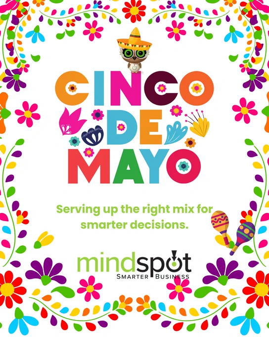 Festive Cinco de Mayo graphic with colorful flowers, maracas, and an owl in a sombrero. Text: Serving up the right mix for smarter decisions. Mindspot logo.