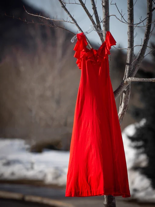 A vibrant red dress with ruffled shoulders hangs from a bare tree branch. In the background, there is a snowy landscape with a mountain.
