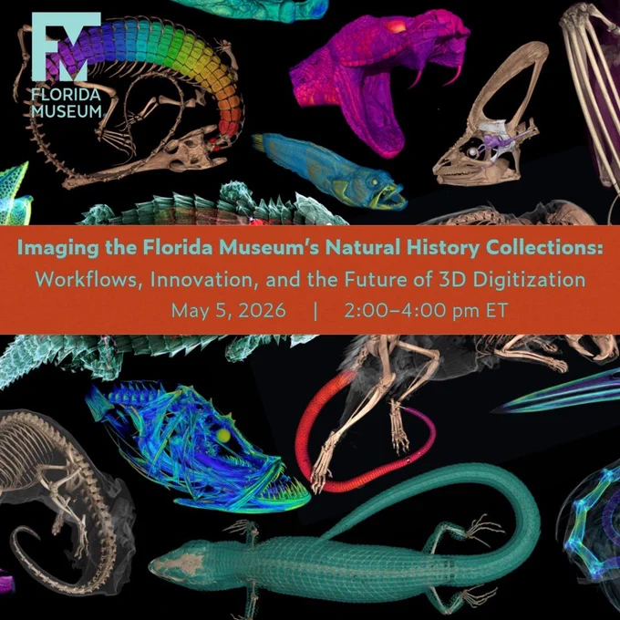 May be an image of xray and text that says  FLORIDA MUSEUM Imaging the Florida Museum's Natural History Collections: Workflows, Innovation, and the Future of 3D Digitization May May5,2026 5 2026 2:00-4:00 pm ET '